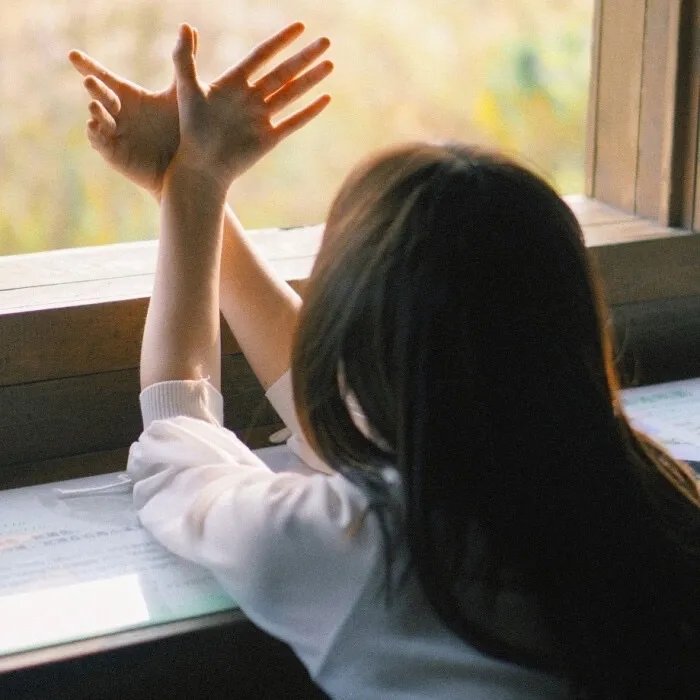 鲁南抗日游击队